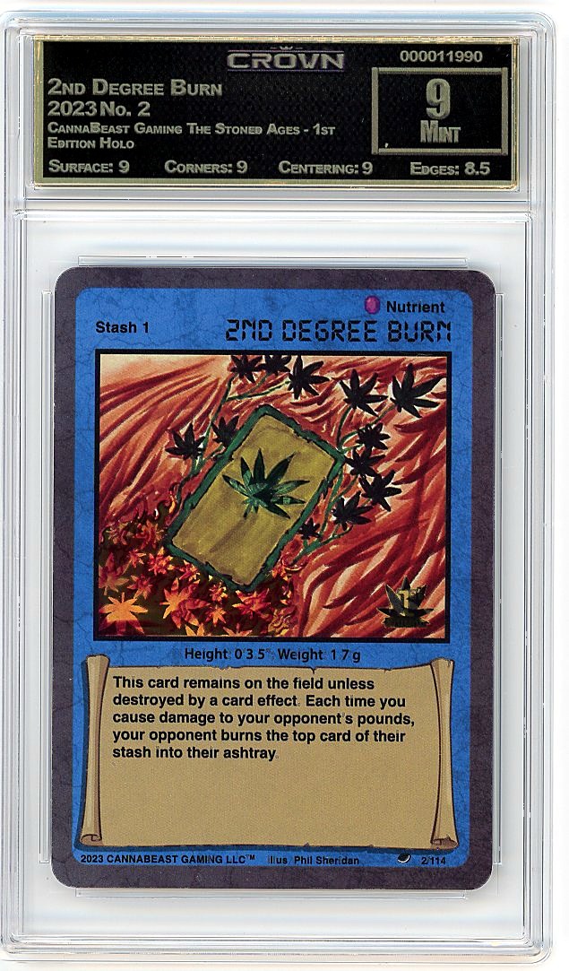2nd Degree Burn