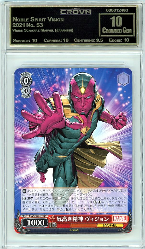 Noble Spirit Vision