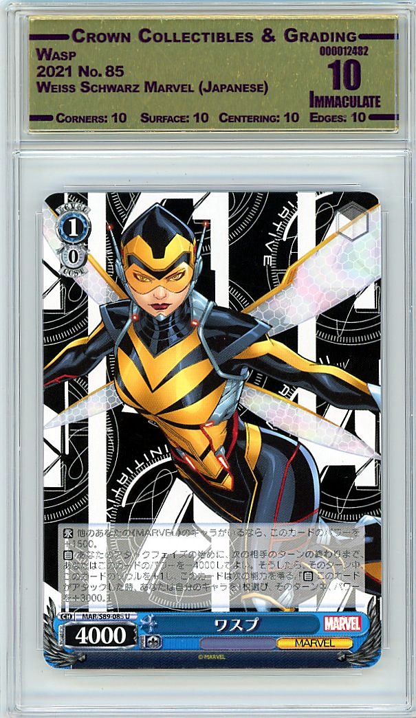 Wasp