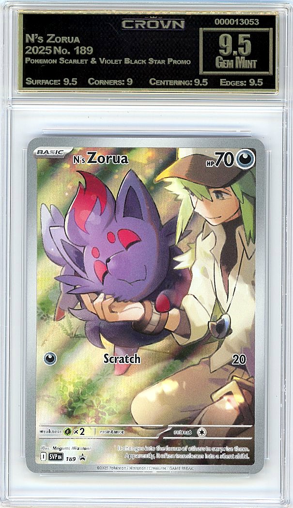 N's Zorua