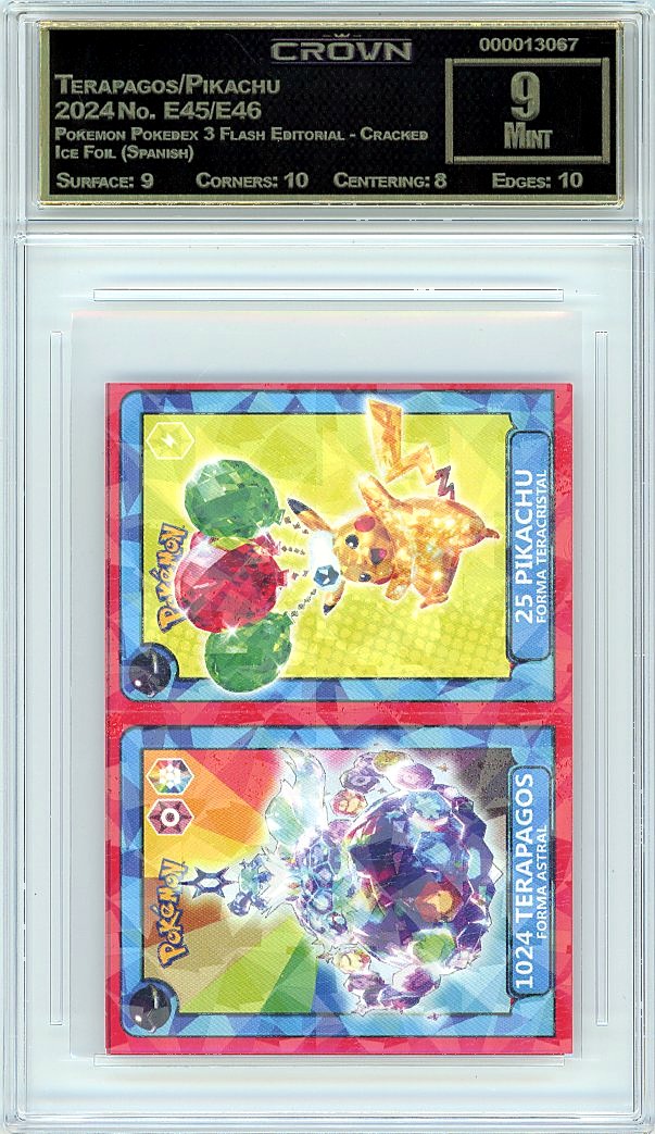 Terapagos/Pikachu