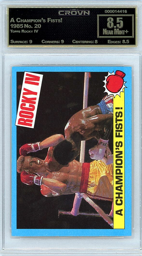 A Champion's Fists!