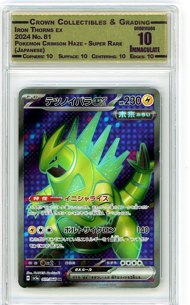 Iron Thorns ex