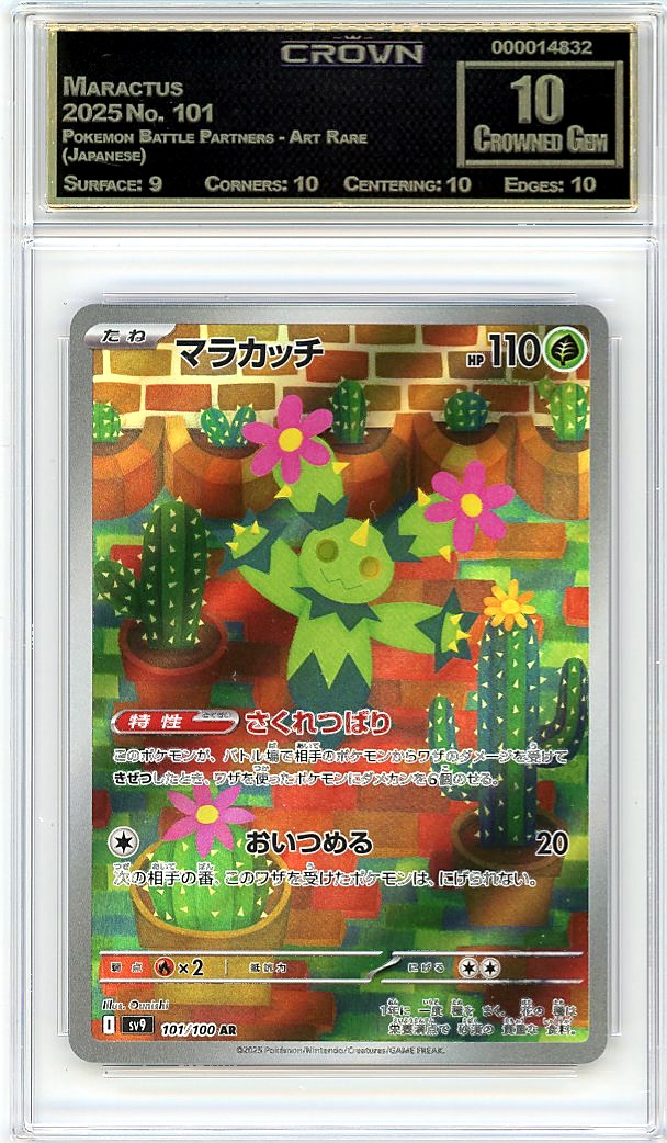 Maractus