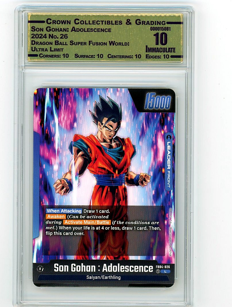 Son Gohan: Adolescence
