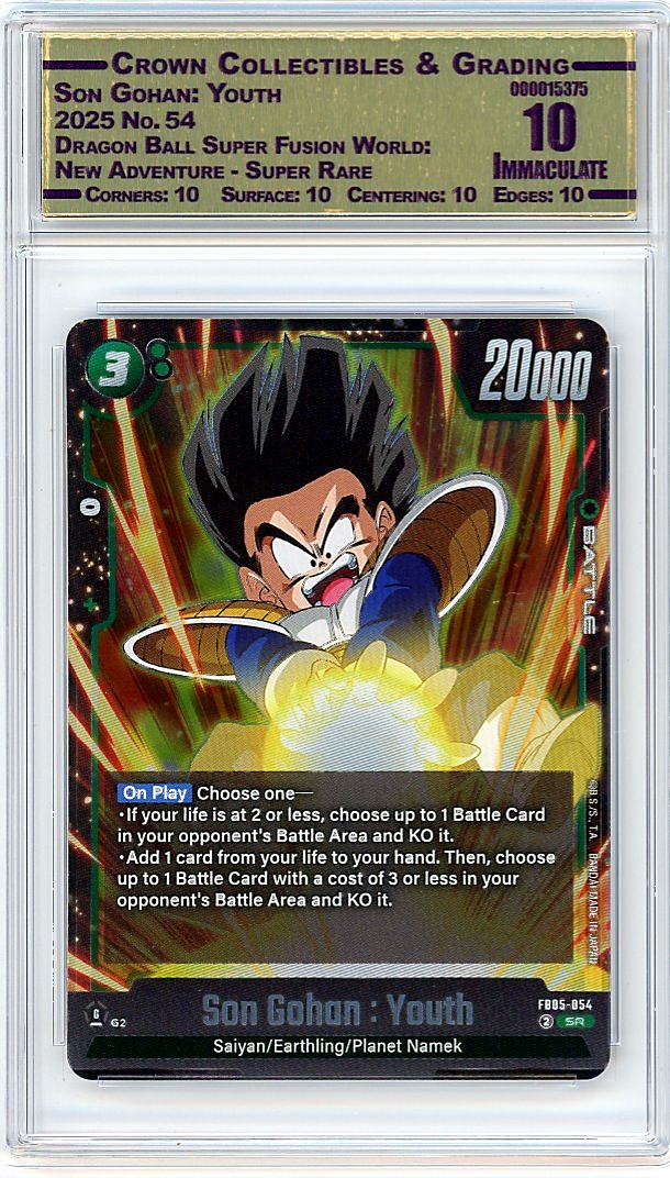 Son Gohan: Youth