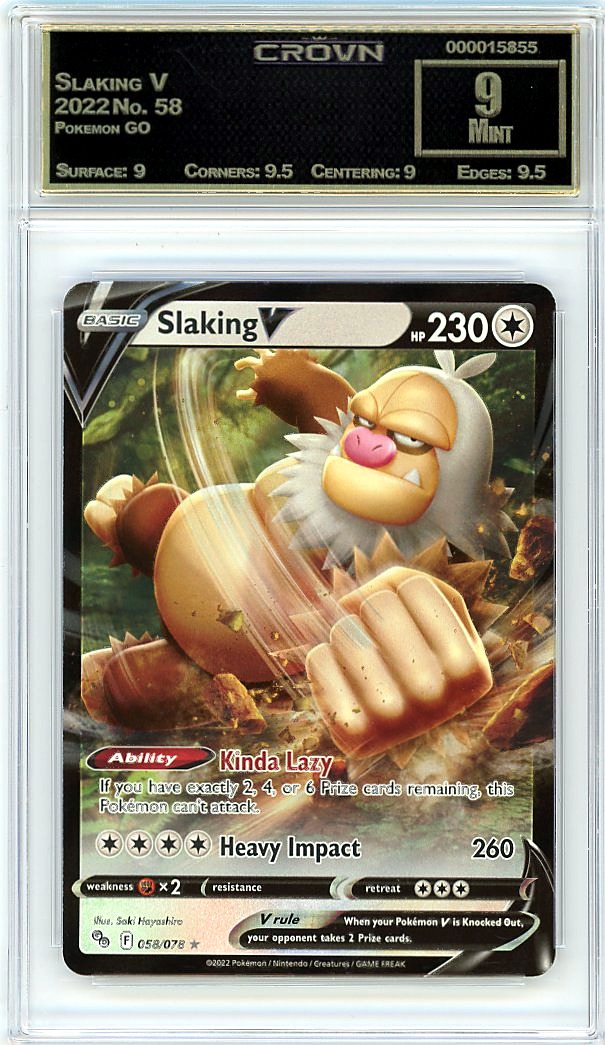 Slaking V