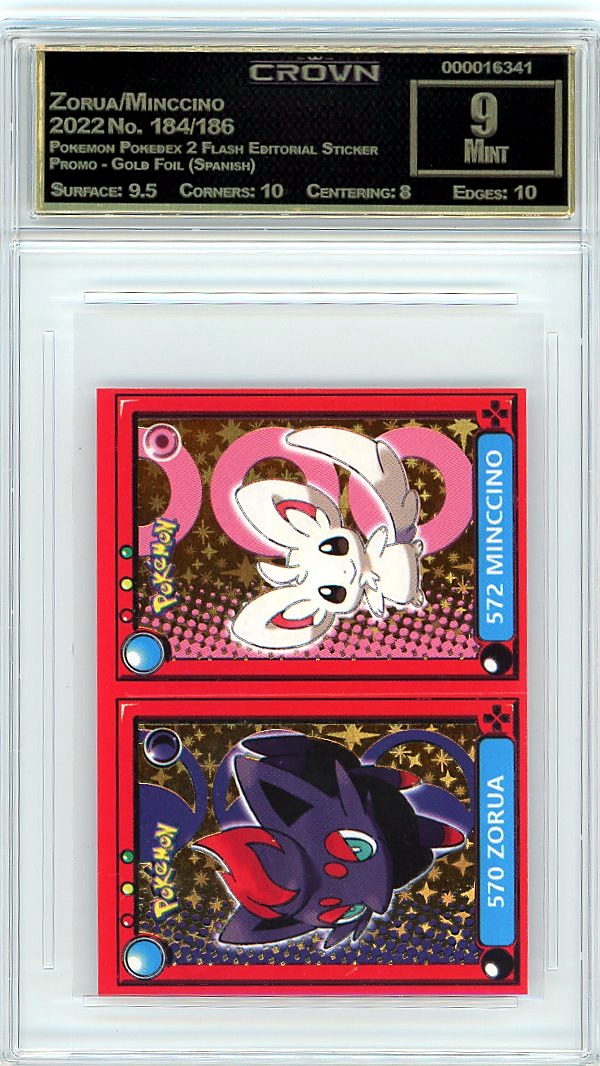 Zorua/Minccino