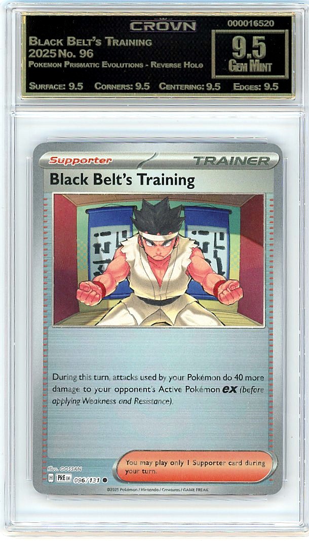Black Belt's Training