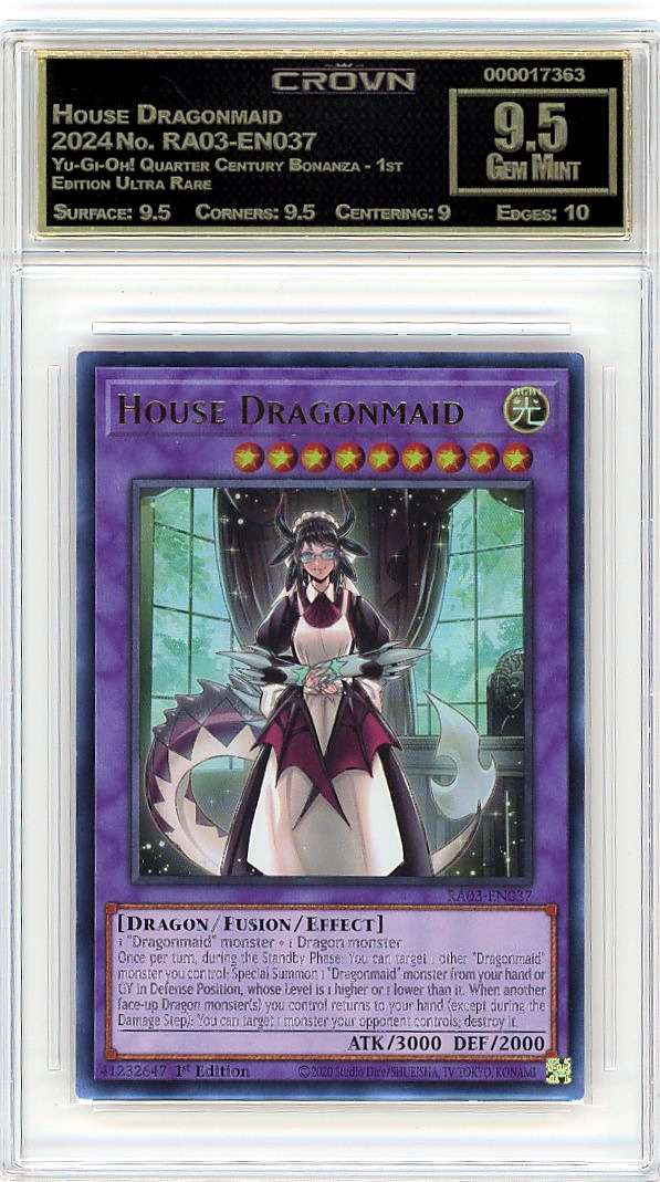 House Dragonmaid