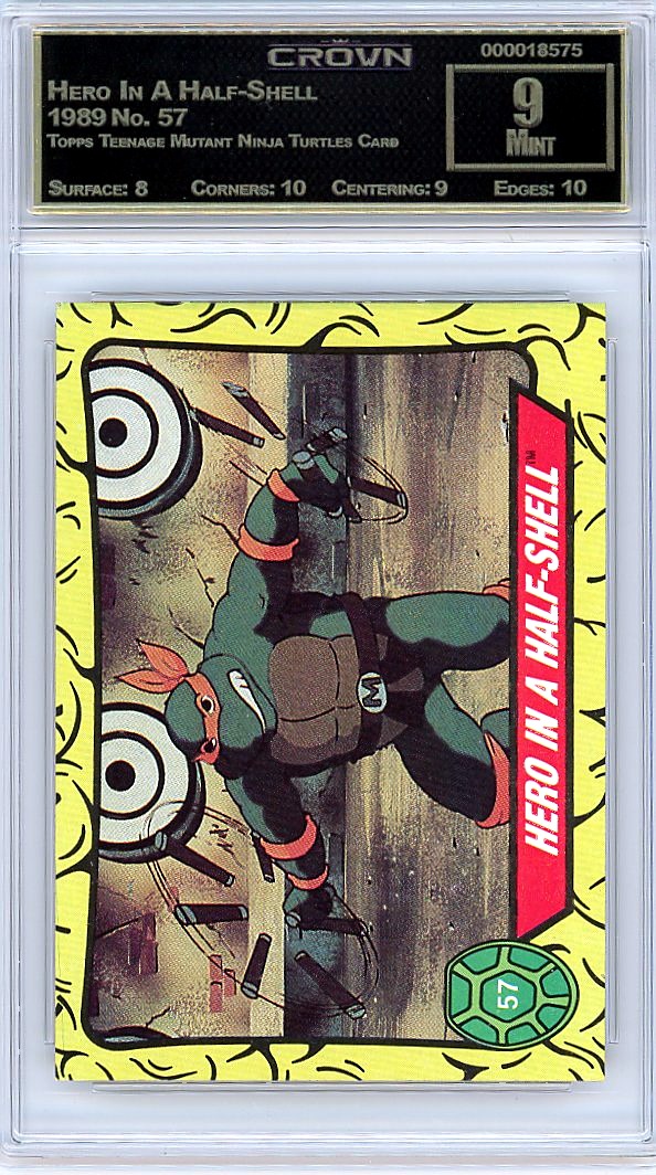 Hero In A Half-Shell