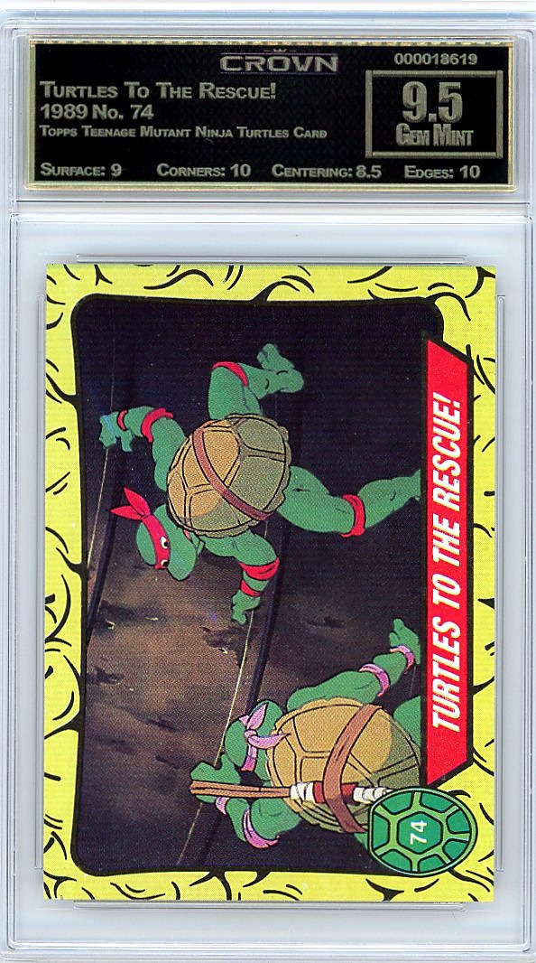 Turtles To The Rescue!