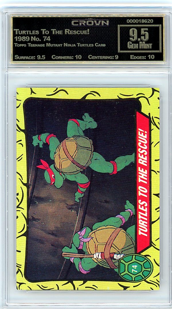 Turtles To The Rescue!