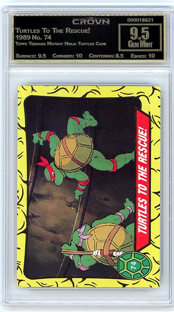 Turtles To The Rescue!