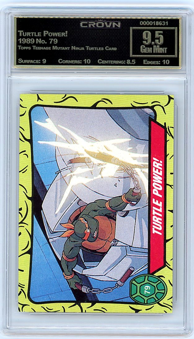 Turtle Power!