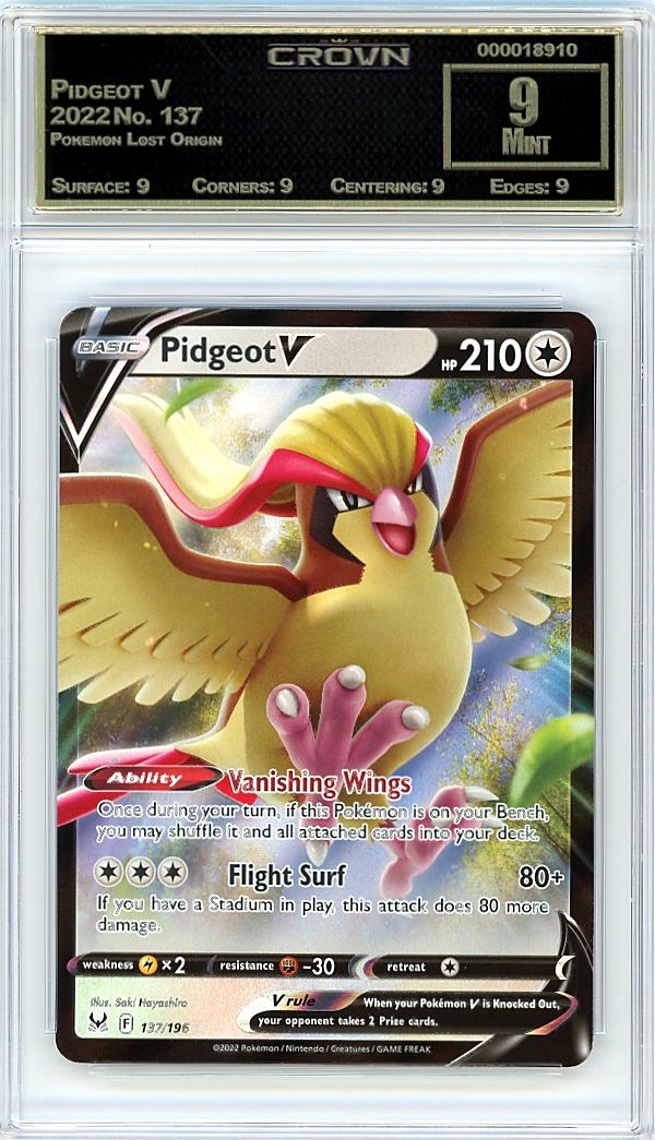 Pidgeot V