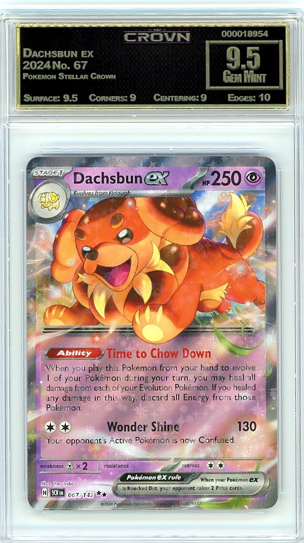Dachsbun ex