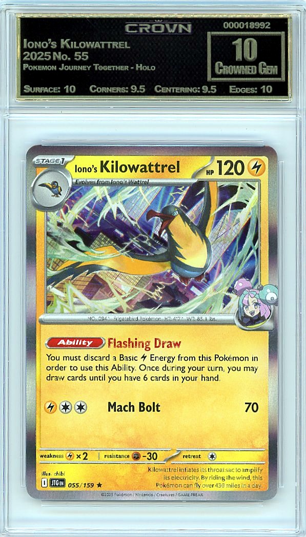 Iono's Kilowattrel