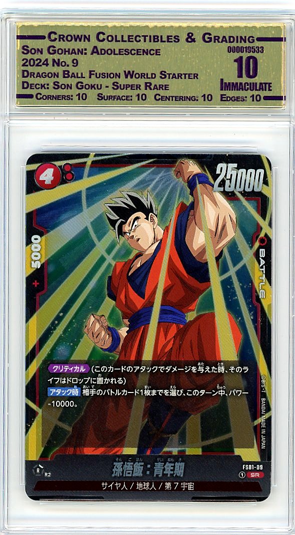 Son Gohan: Adolescence