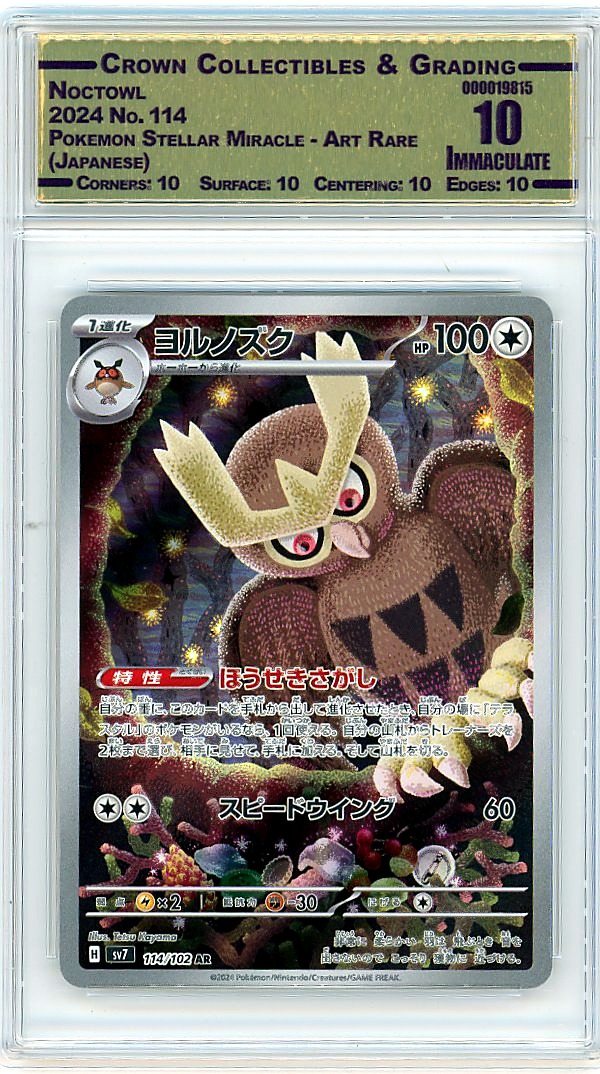 Noctowl