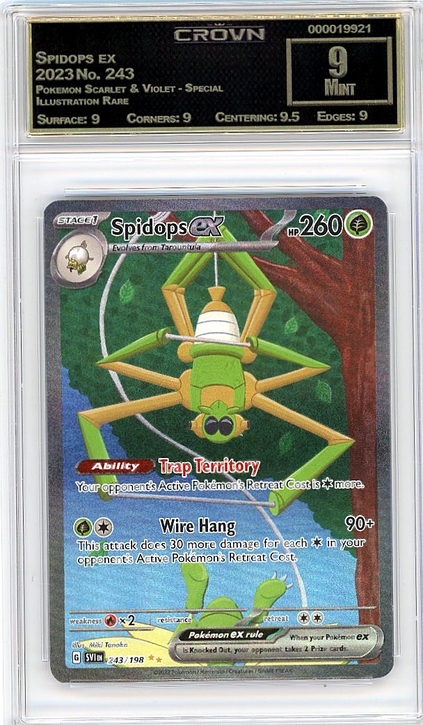 Spidops ex
