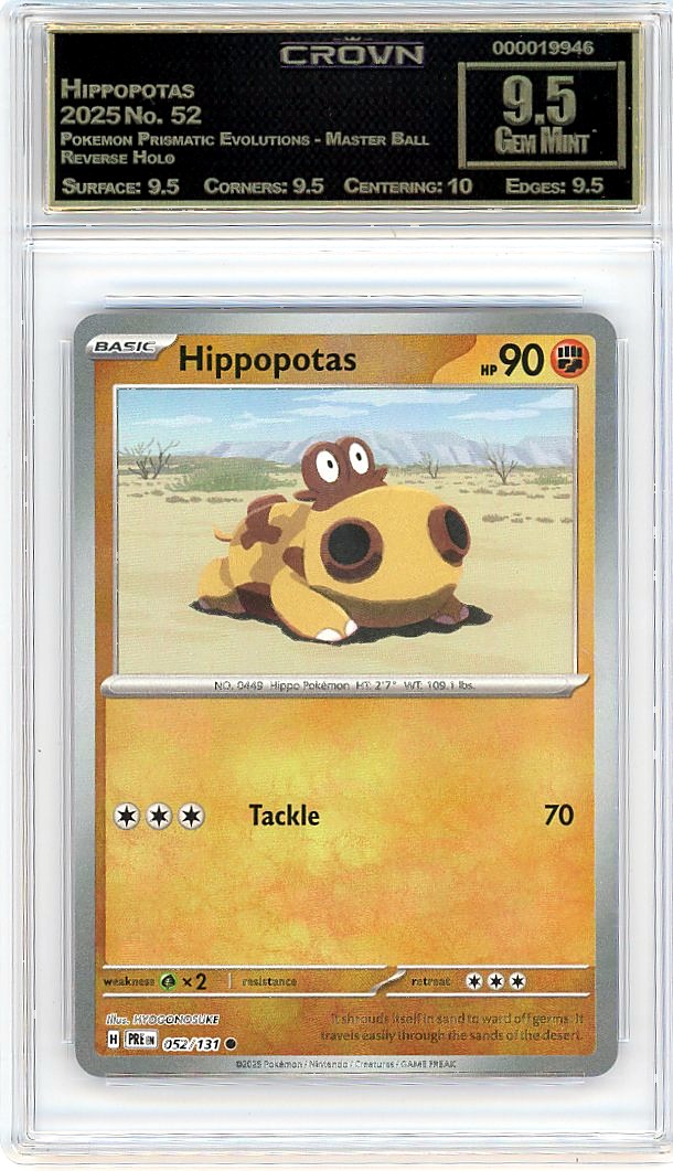 Hippopotas