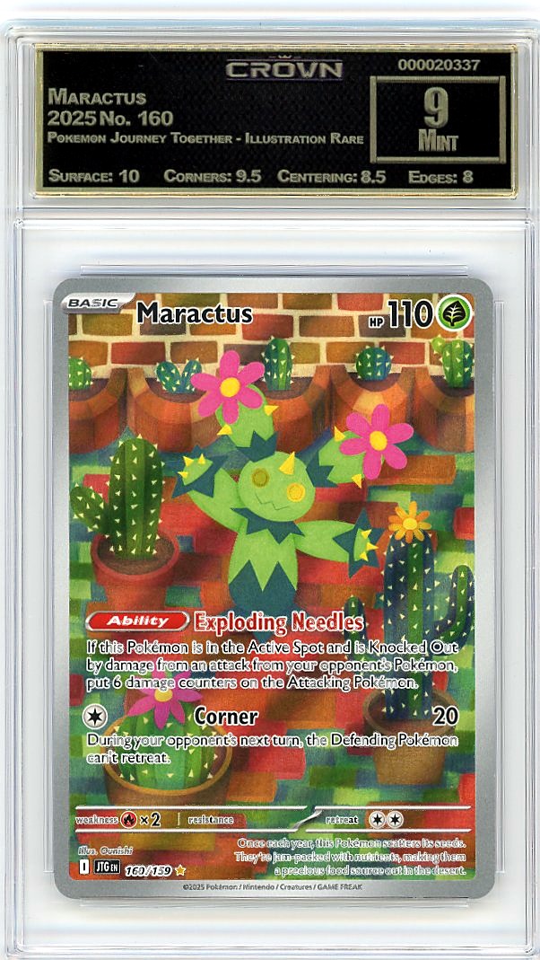 Maractus