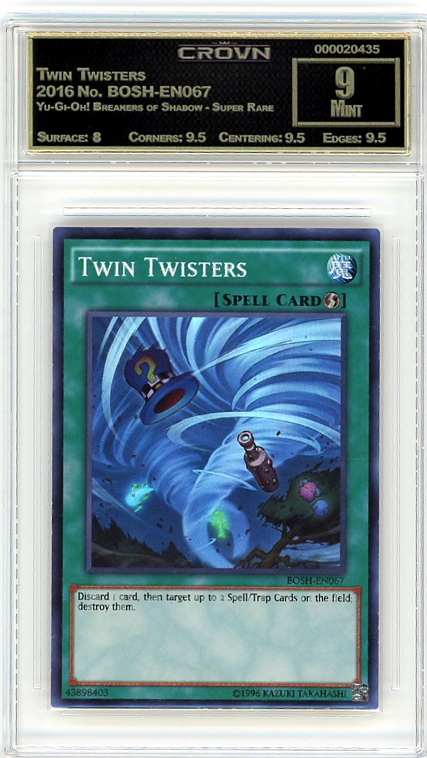 Twin Twisters