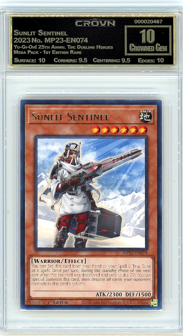 Sunlit Sentinel
