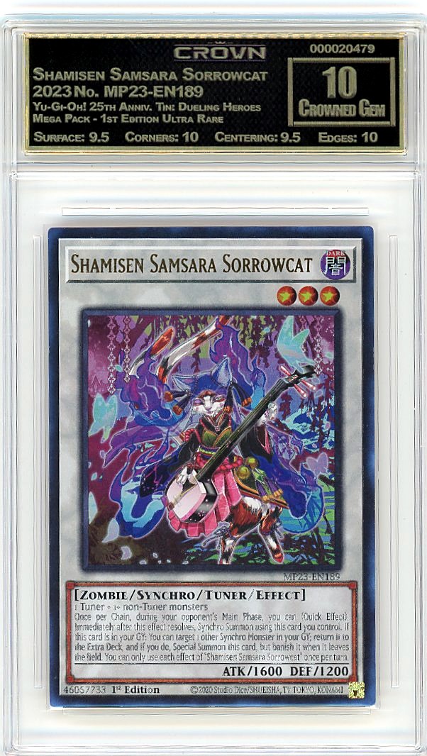 Shamisen Samsara Sorrowcat