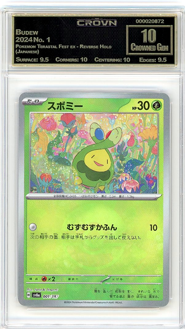 Budew