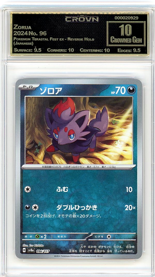 Zorua