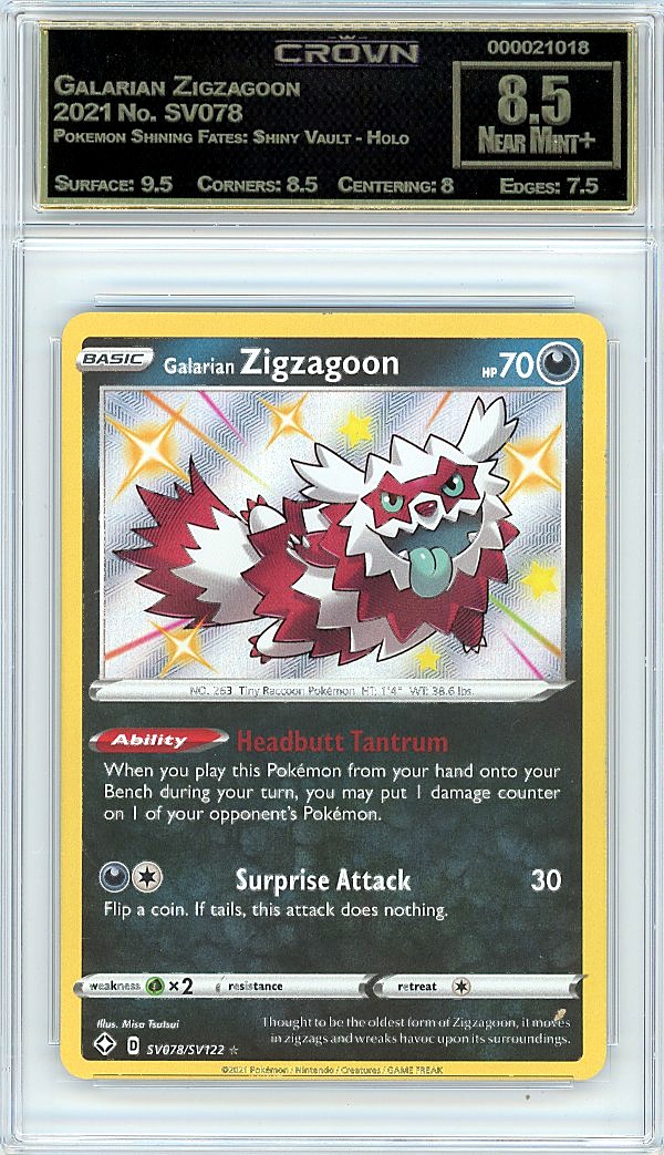 Galarian Zigzagoon