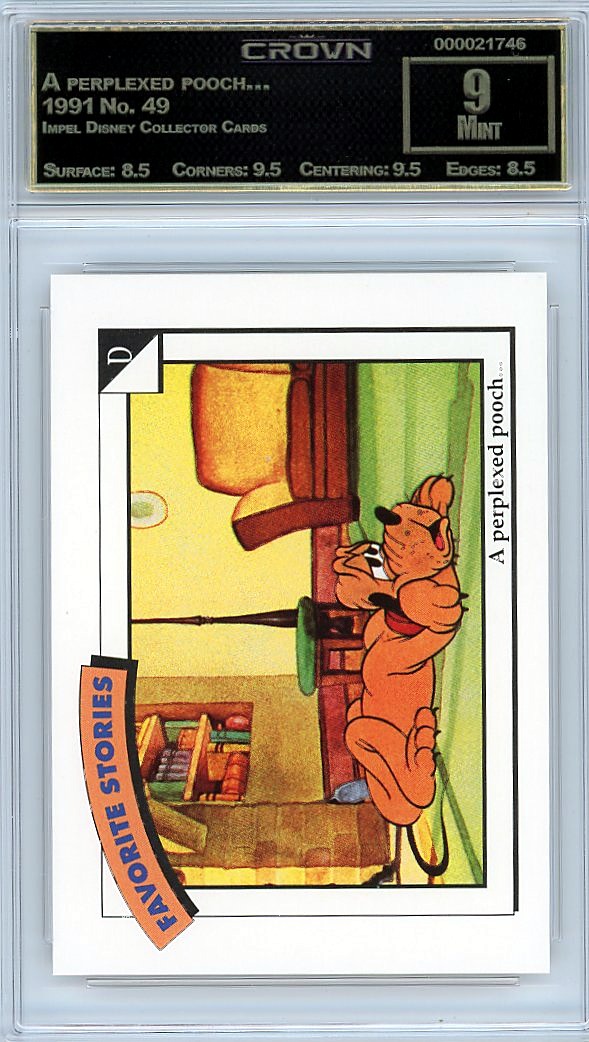 A perplexed pooch…