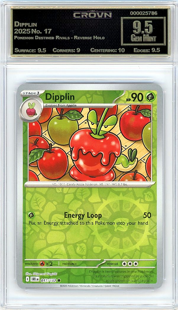 Dipplin