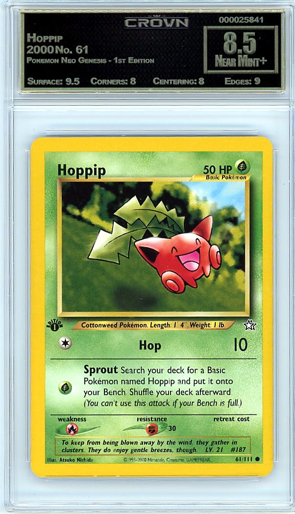 Hoppip