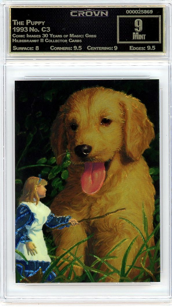The Puppy