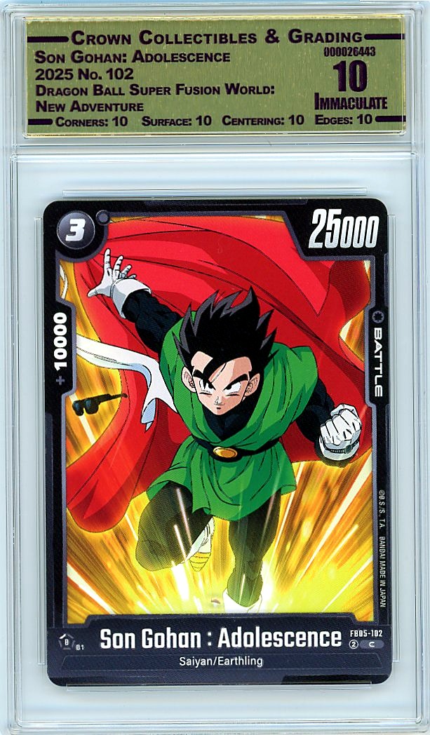 Son Gohan: Adolescence