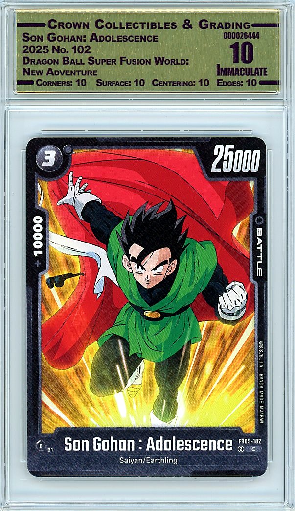 Son Gohan: Adolescence