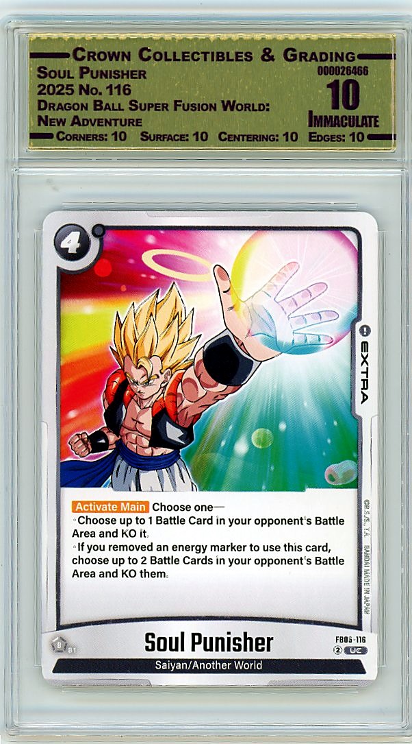 Soul Punisher
