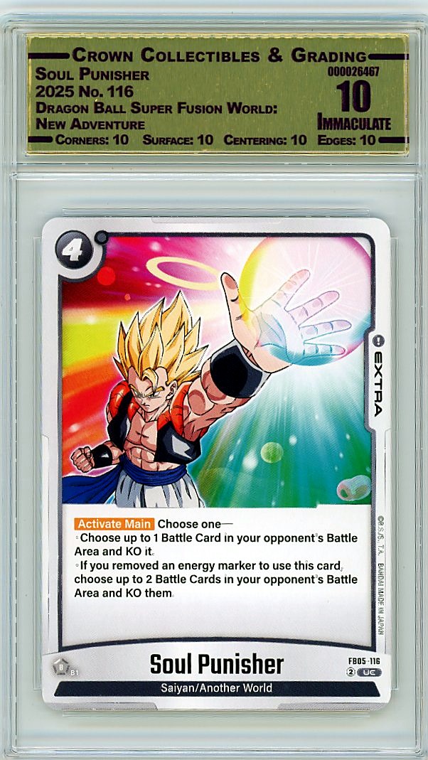 Soul Punisher