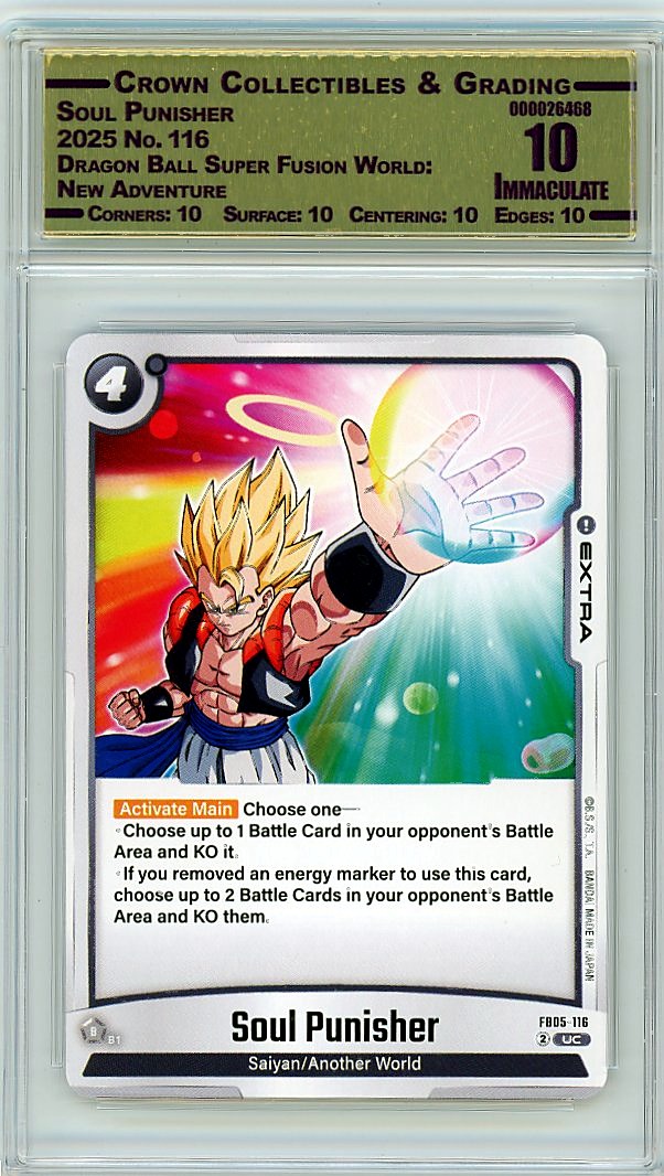 Soul Punisher