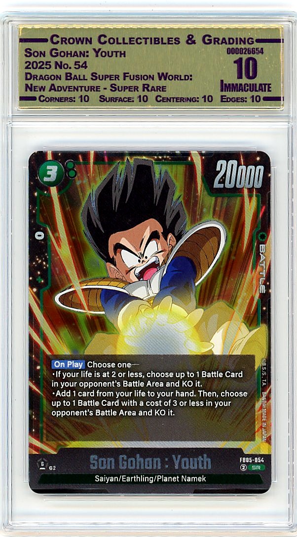 Son Gohan: Youth