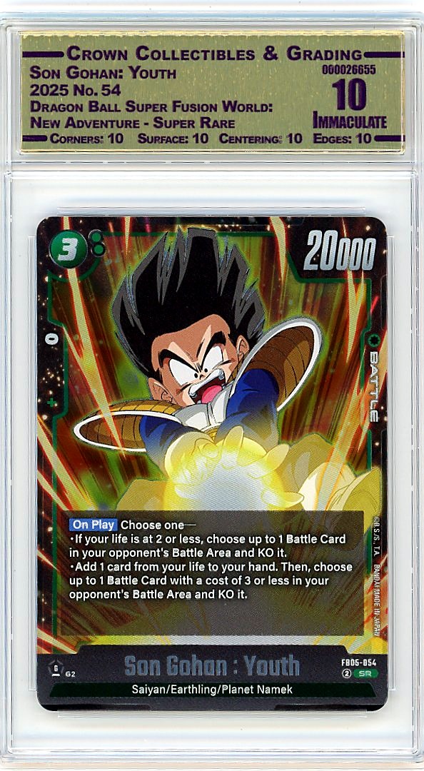 Son Gohan: Youth