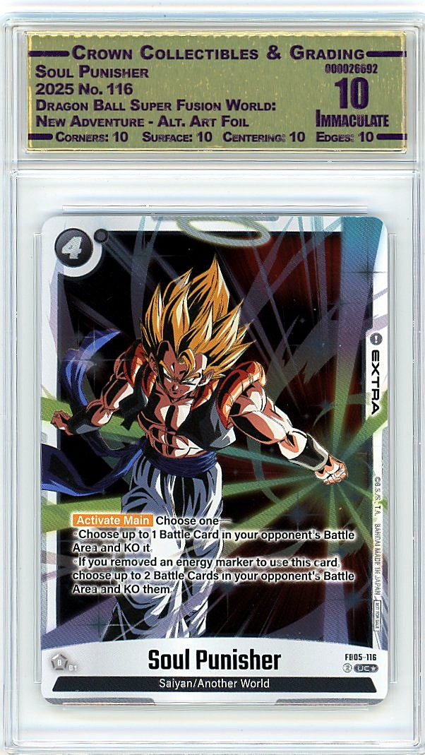 Soul Punisher