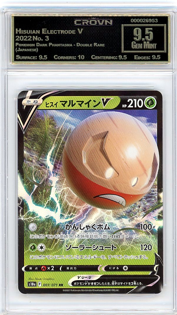 Hisuian Electrode V