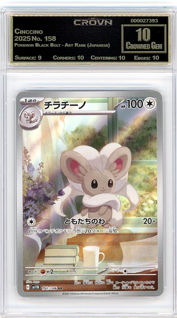 Cinccino