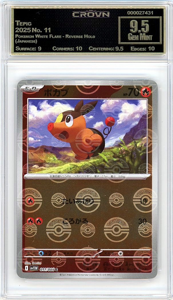 Tepig