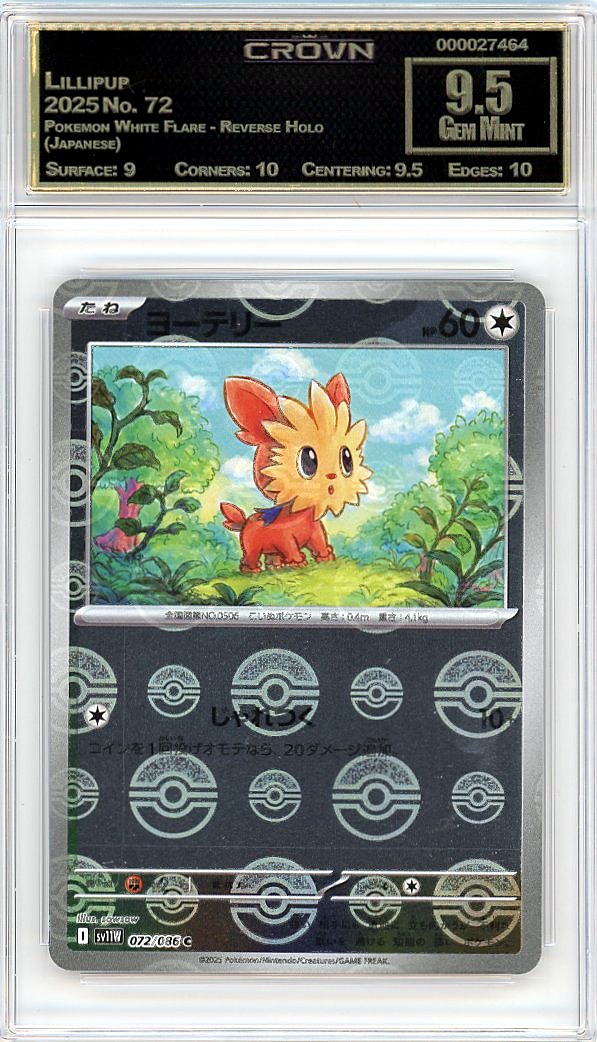 Lillipup