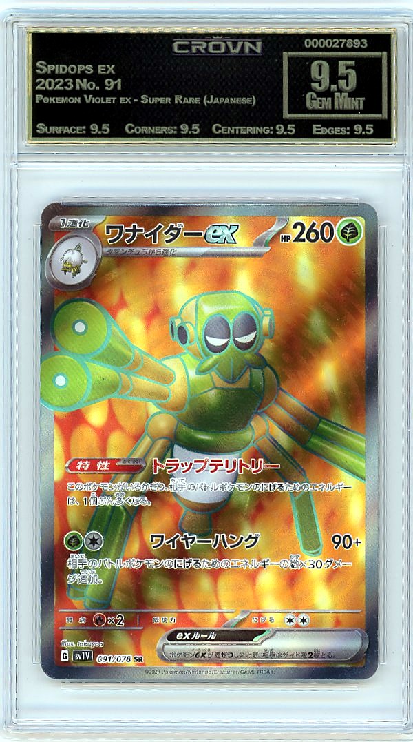 Spidops ex